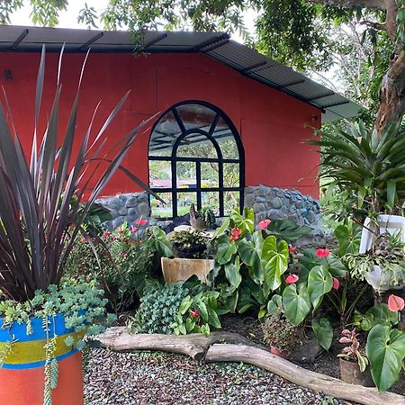 Brisas Del Rio Salento Guest House ภายนอก รูปภาพ