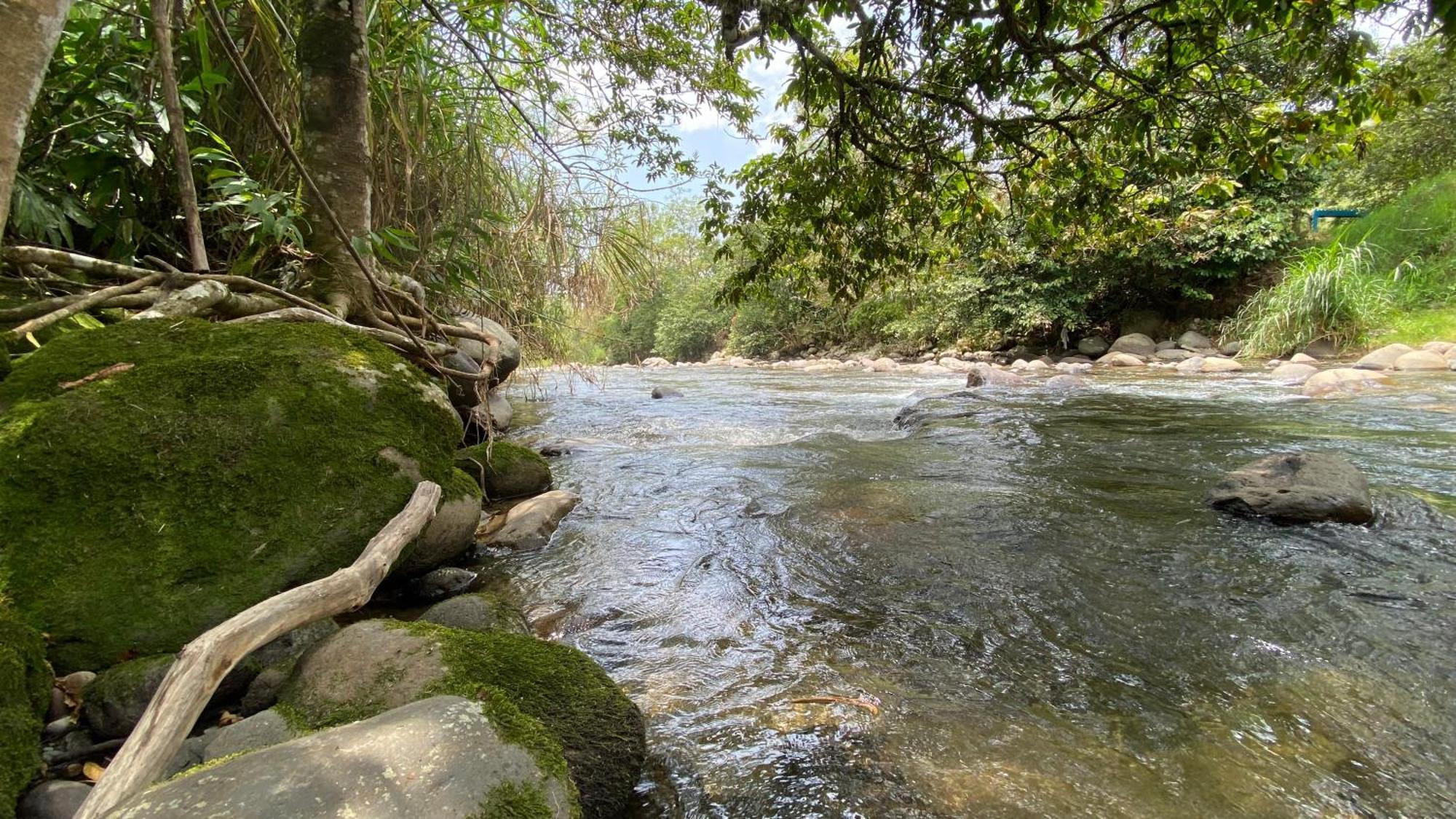 Brisas Del Rio Salento Guest House ภายนอก รูปภาพ