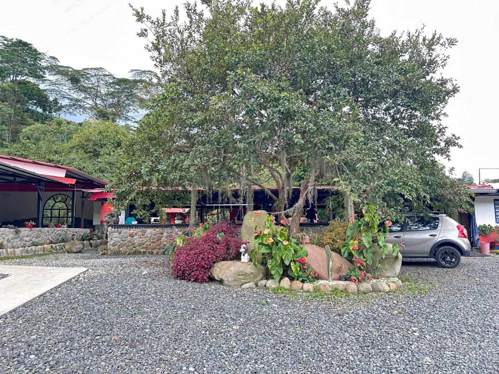 Brisas Del Rio Salento Guest House ภายนอก รูปภาพ