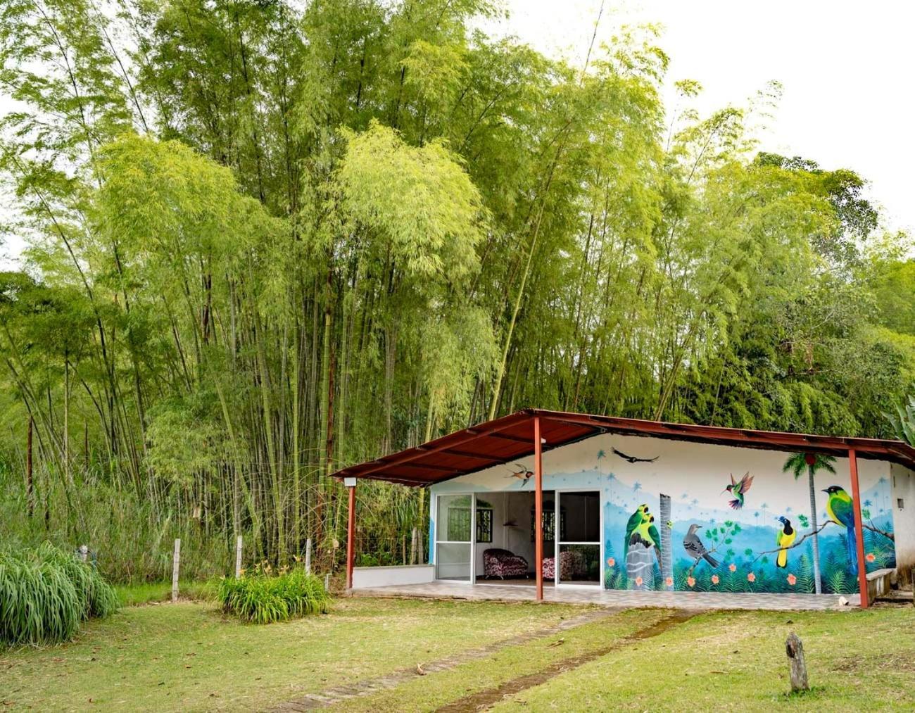Brisas Del Rio Salento Guest House ภายนอก รูปภาพ